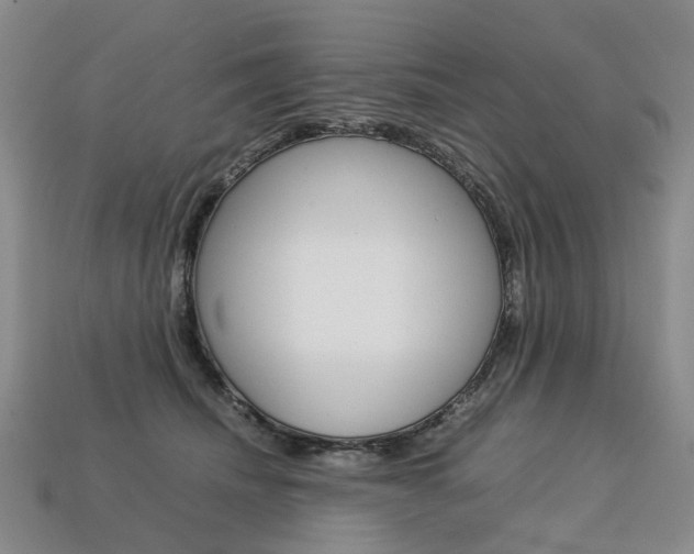 X0000113750468200909231009
