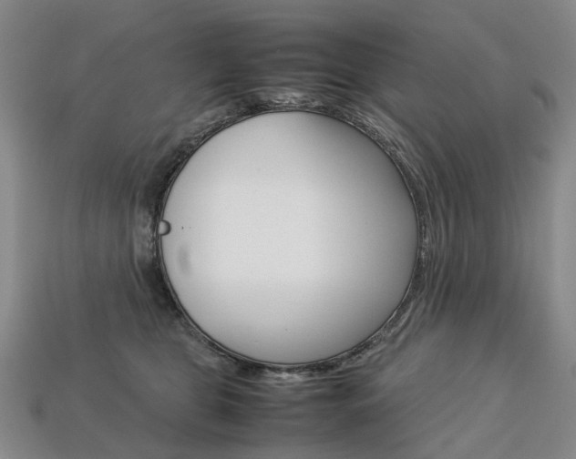 X0000113750469200909231009