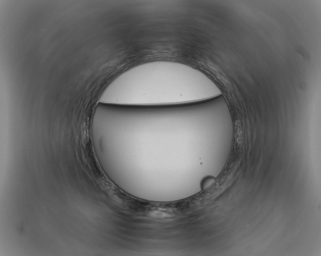 X0000113750471200909231009