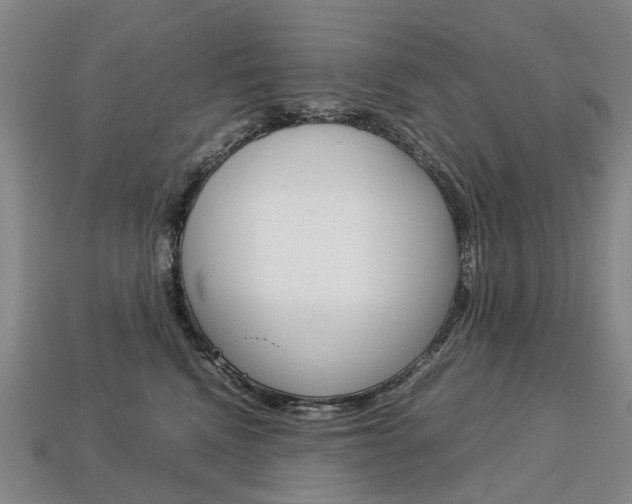 X0000113750472200909231009