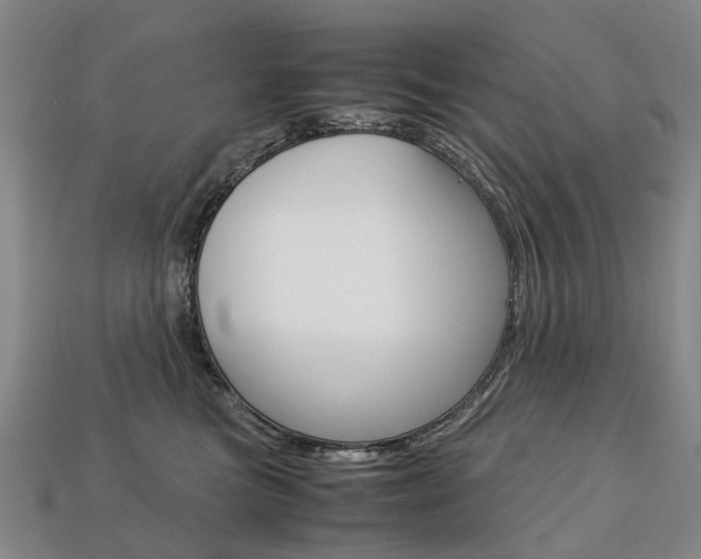 X0000113750473200909231009