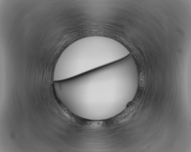 X0000113750474200909231009