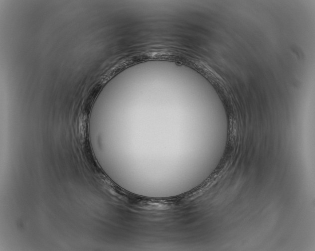 X0000113750475200909231009