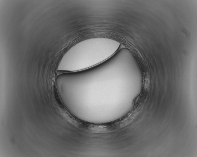 X0000113750476200909231009