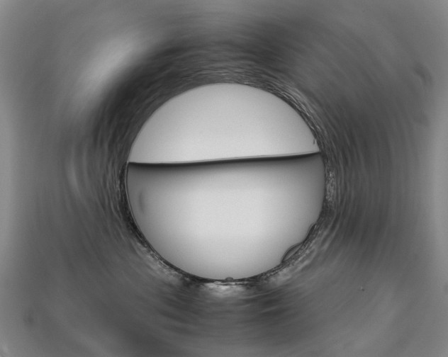X0000113750477200909231009