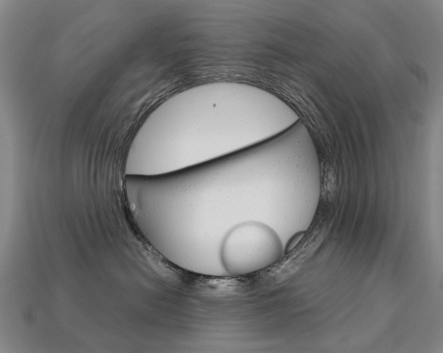 X0000113750478200909231009