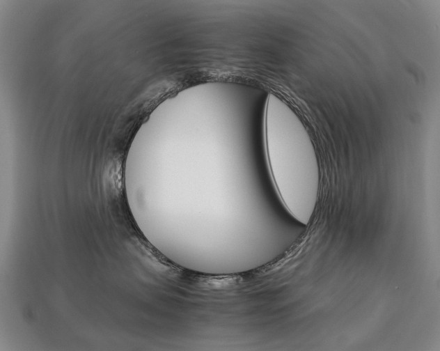 X0000113750479200909231009