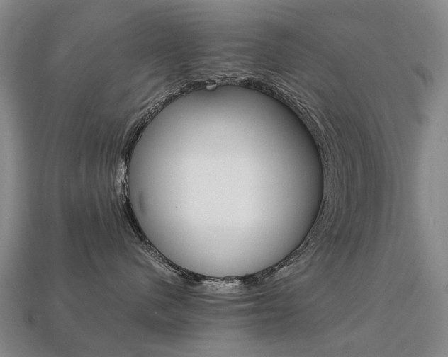 X0000113750480200909231009