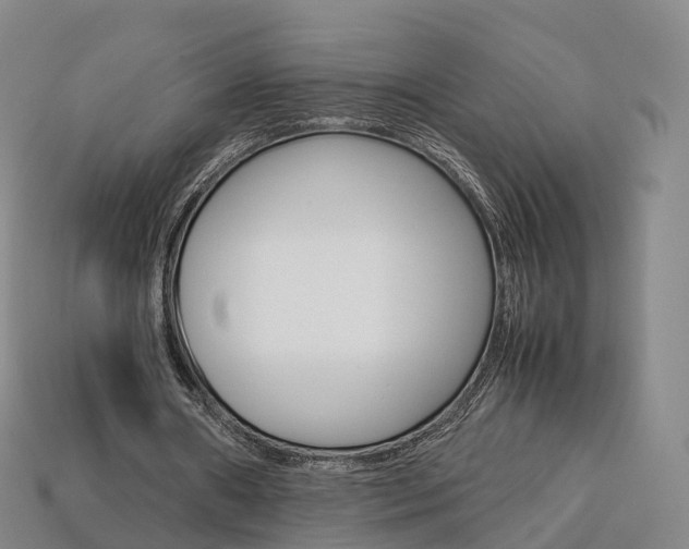 X0000113750482200909231009