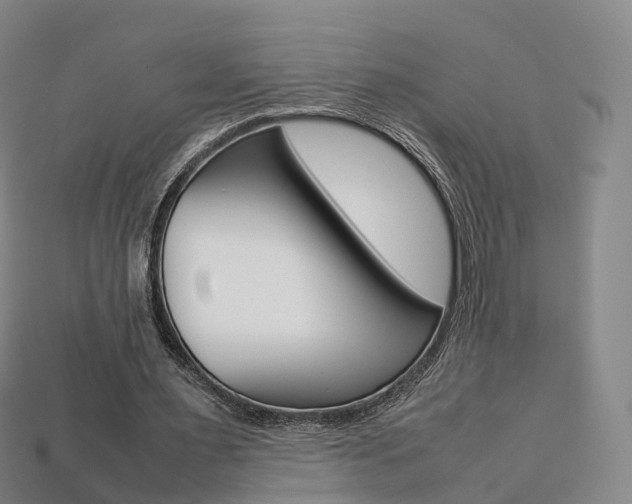 X0000113750483200909231009