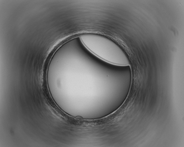 X0000113750484200909231009