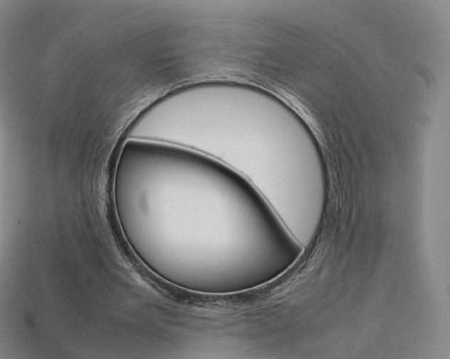 X0000113750485200909231009
