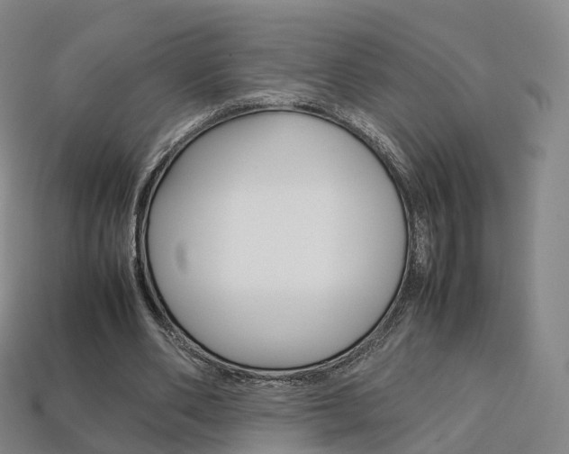 X0000113750486200909231009