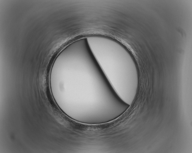 X0000113750487200909231009