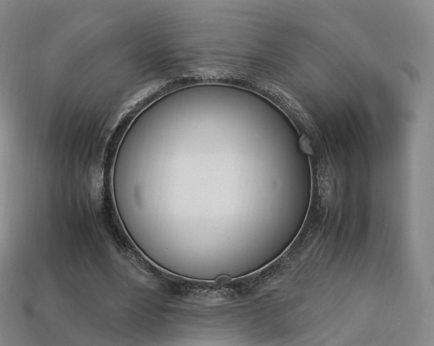 X0000113750488200909231009