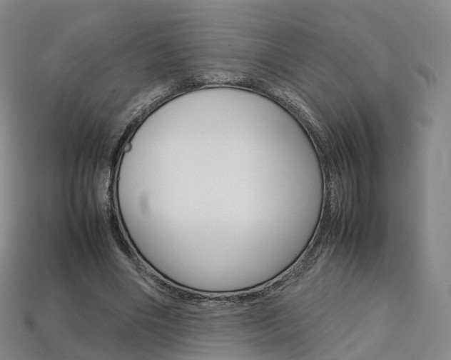 X0000113750490200909231009