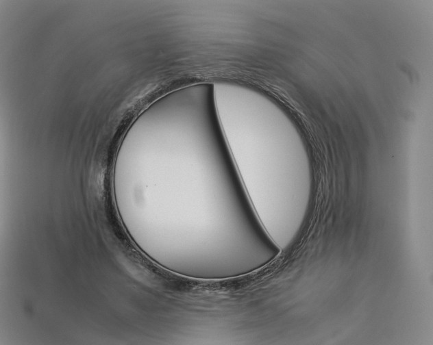 X0000113750491200909231009
