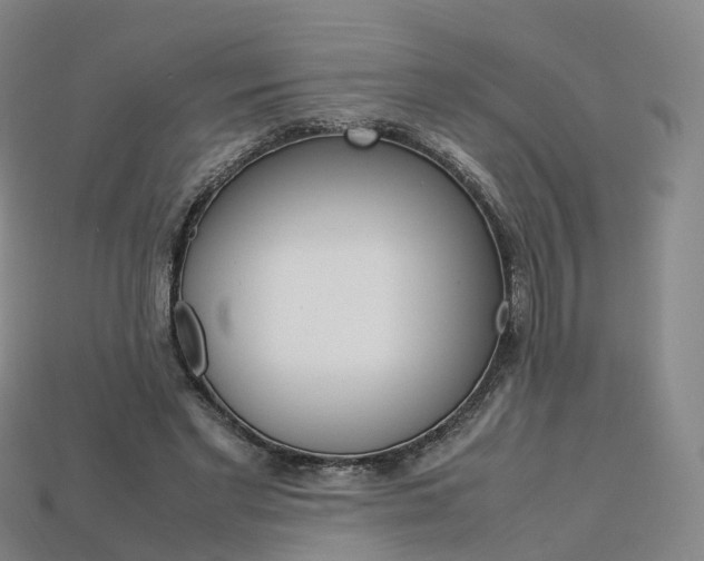 X0000113750493200909231009