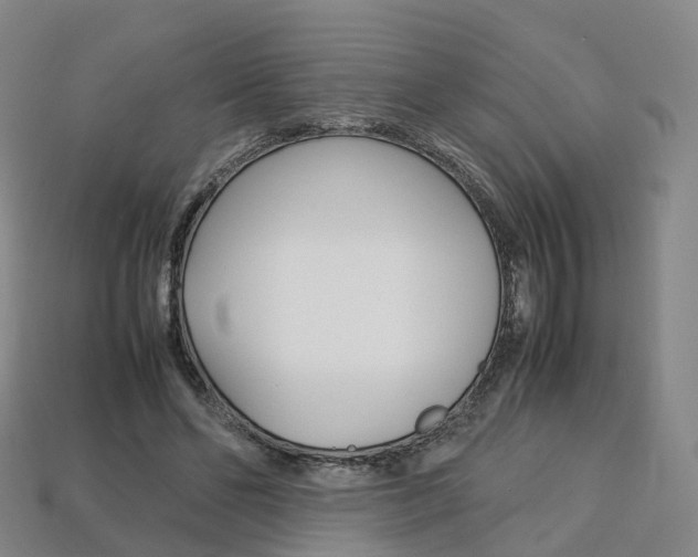 X0000113750494200909231008