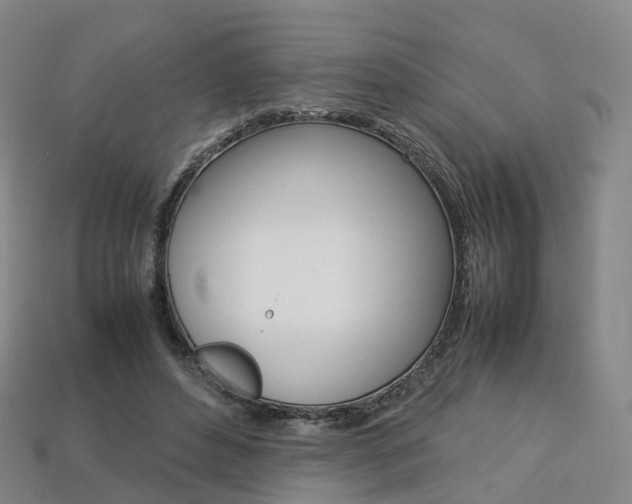 X0000113750496200909231008