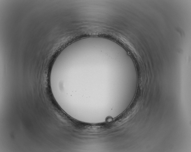 X0000113750497200909231008