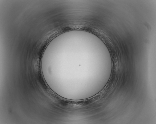 X0000113750498200909231008