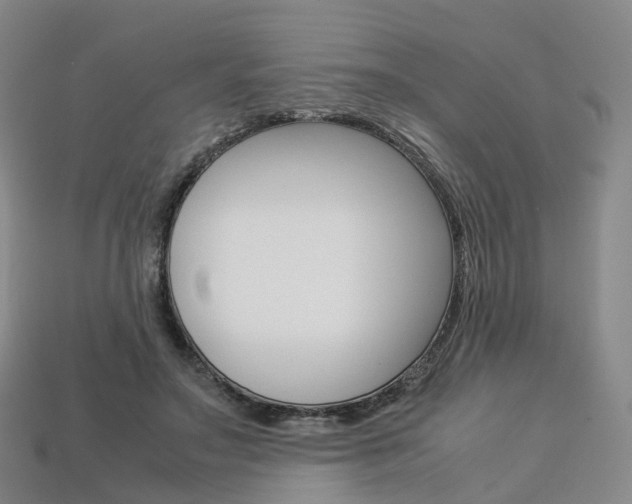 X0000113750499200909231008