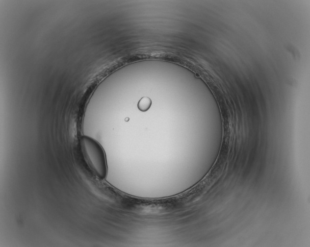 X0000113750500200909231008