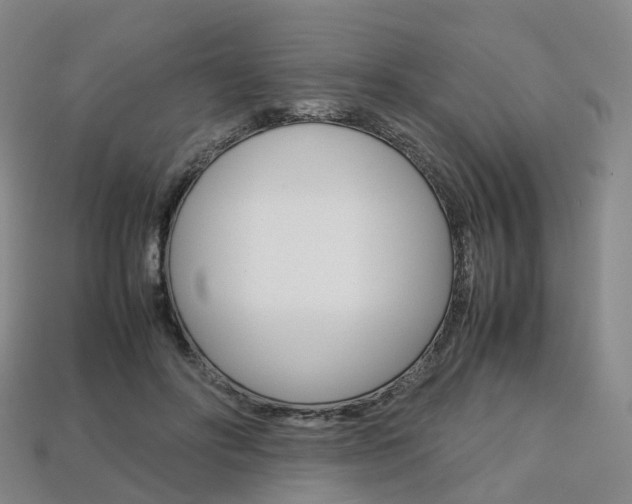 X0000113750502200909231008
