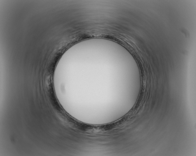 X0000113750503200909231008