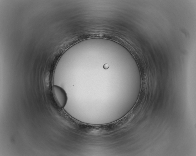 X0000113750504200909231008