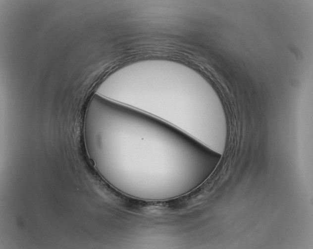 X0000113750505200909231008