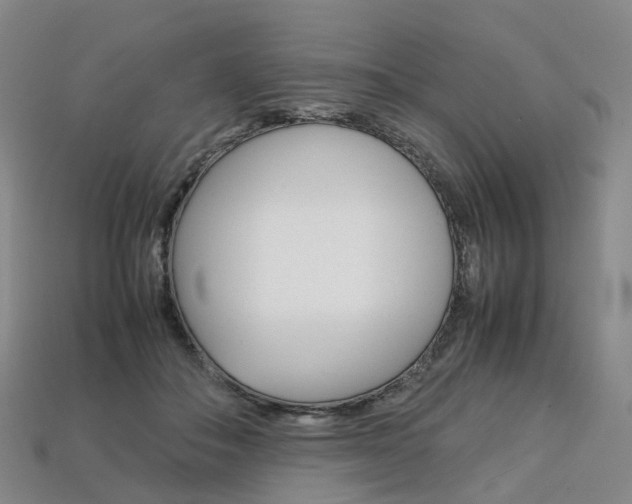 X0000113750506200909231008