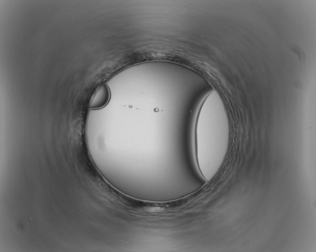 X0000113750509200909231008