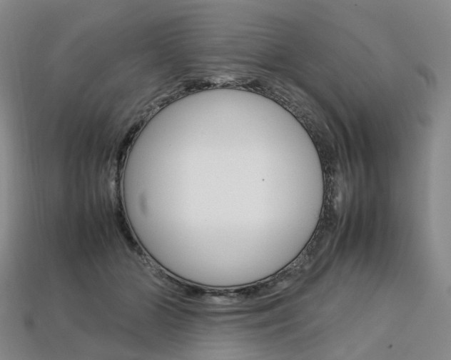 X0000113750510200909231008