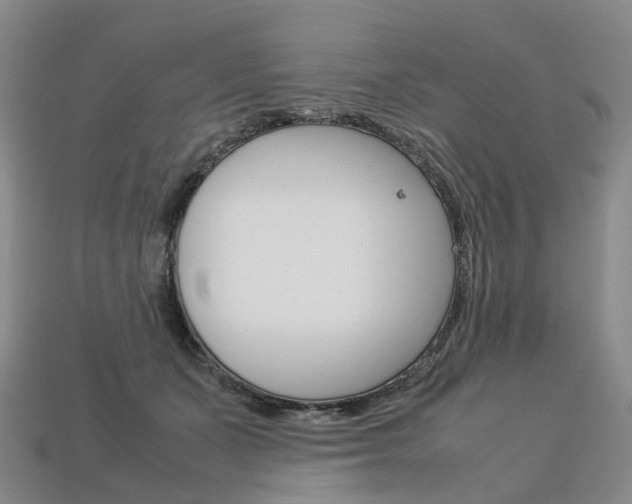 X0000113750511200909231008