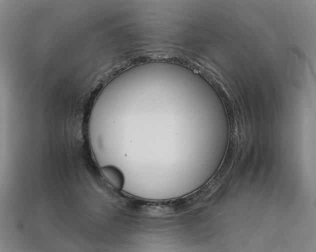 X0000113750512200909231008