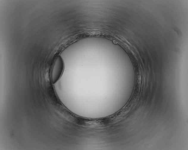 X0000113750516200909231008