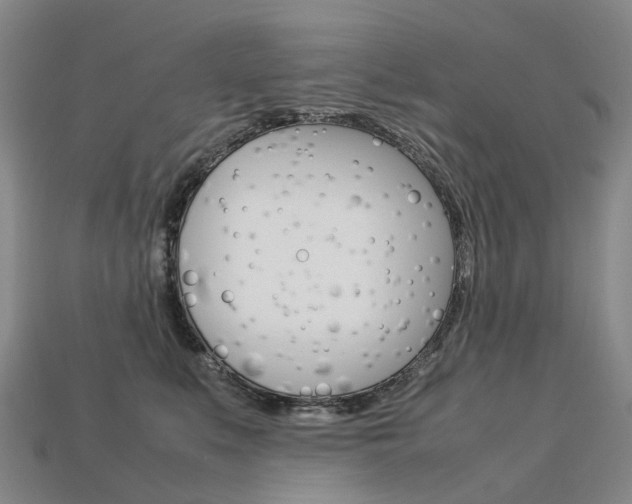 X0000113750519200909231008
