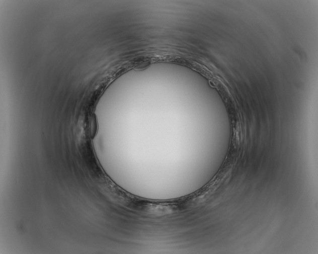 X0000113750520200909231008
