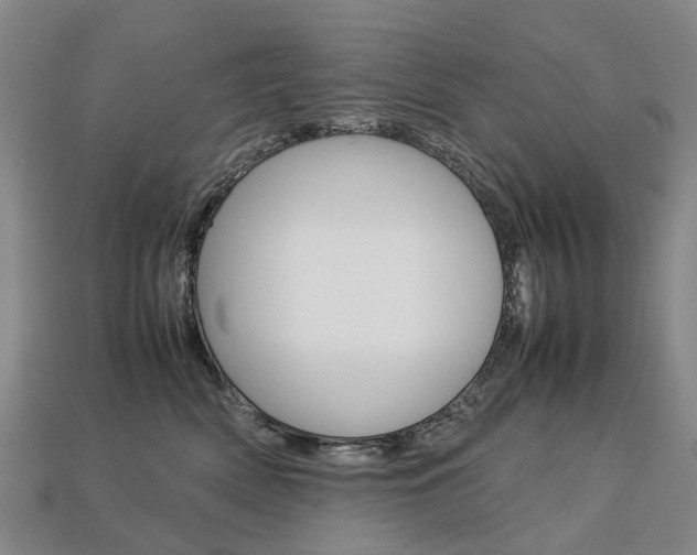 X0000113750522200909231008