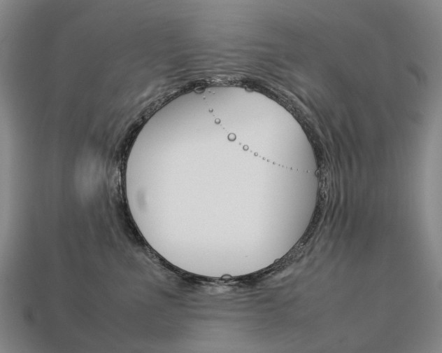 X0000113750523200909231008