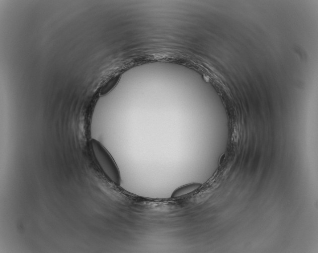 X0000113750524200909231008