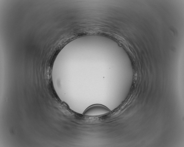 X0000113750525200909231008