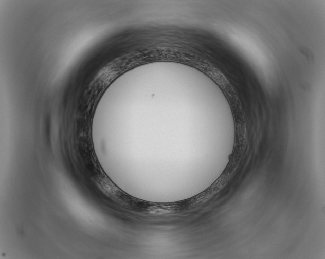 X0000113750526200909231008