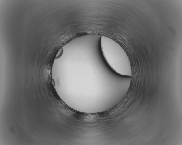 X0000113750527200909231008