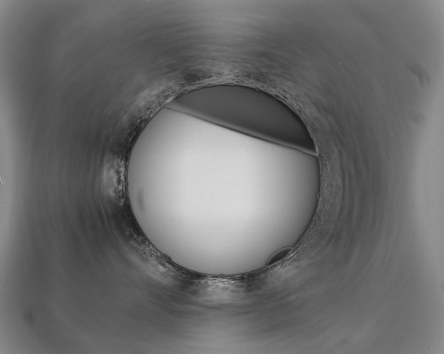 X0000113750528200909231008