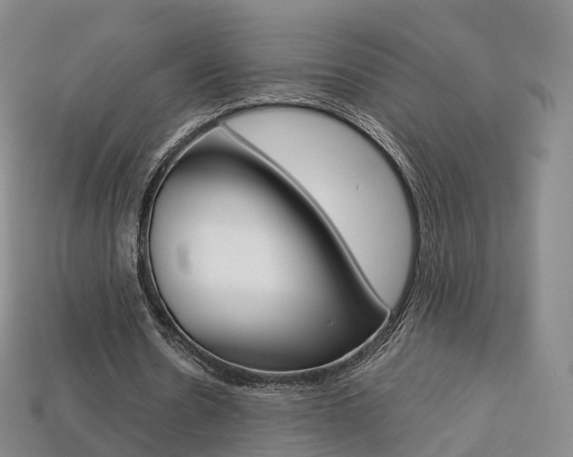X0000113750530200909231007