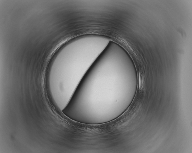 X0000113750531200909231007