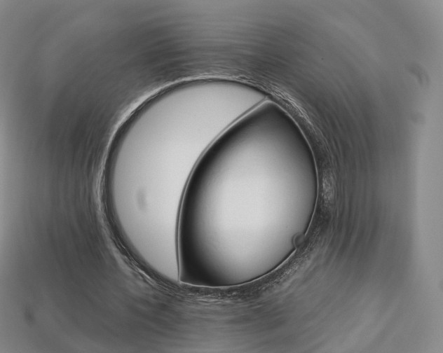 X0000113750532200909231007